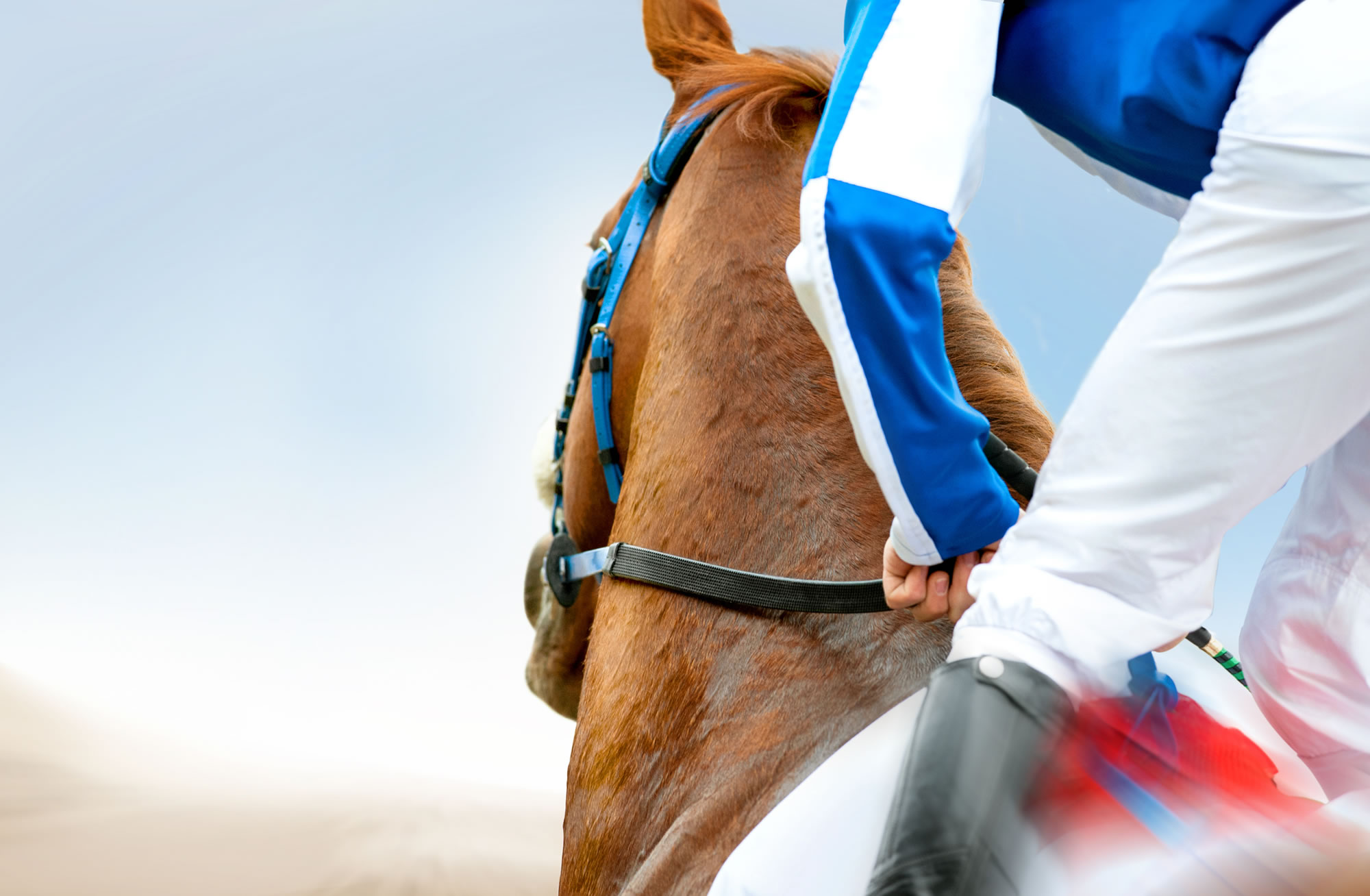 Attend the Grand National Horse Race