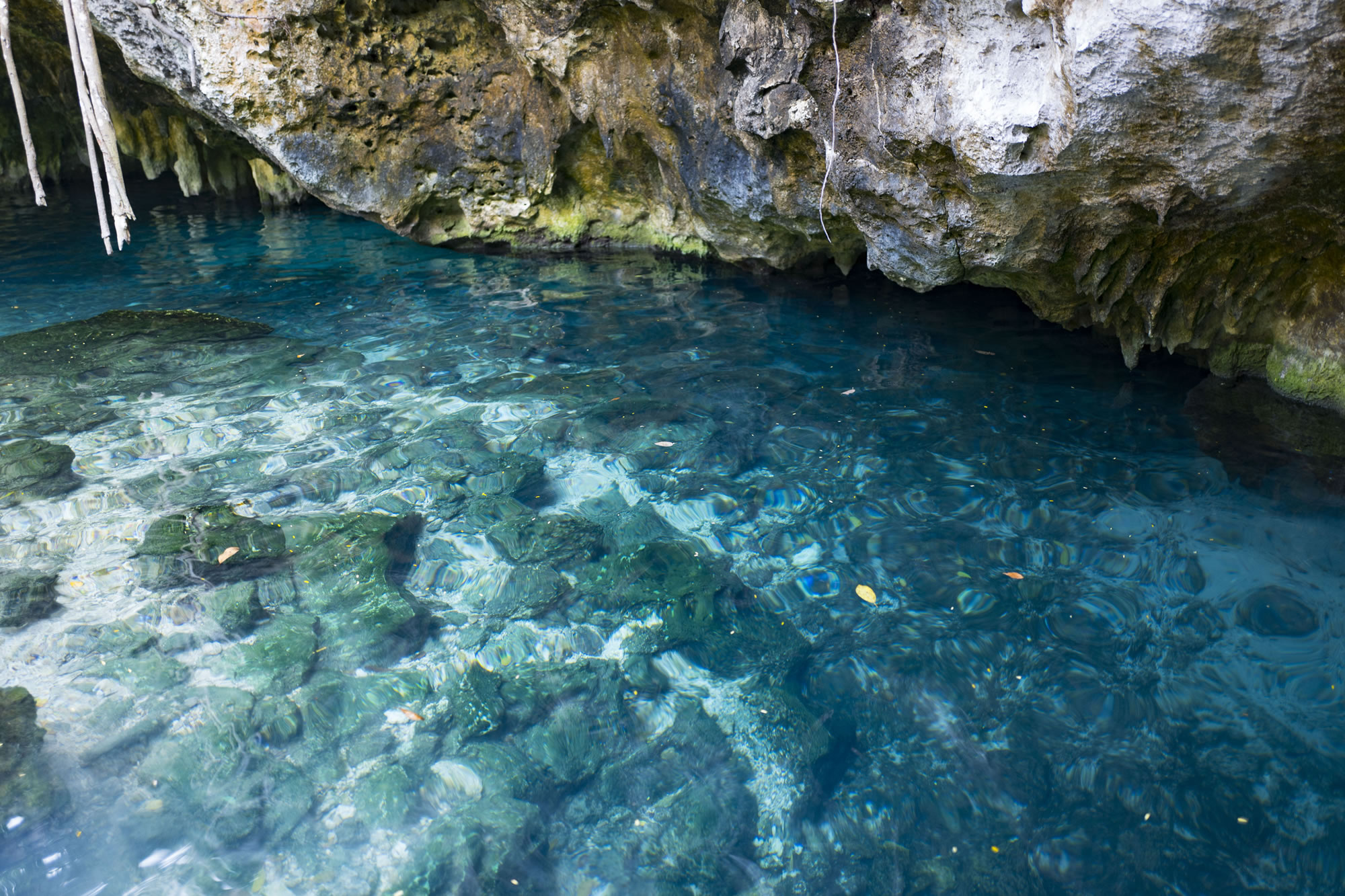 Go Swimming in a Cenote