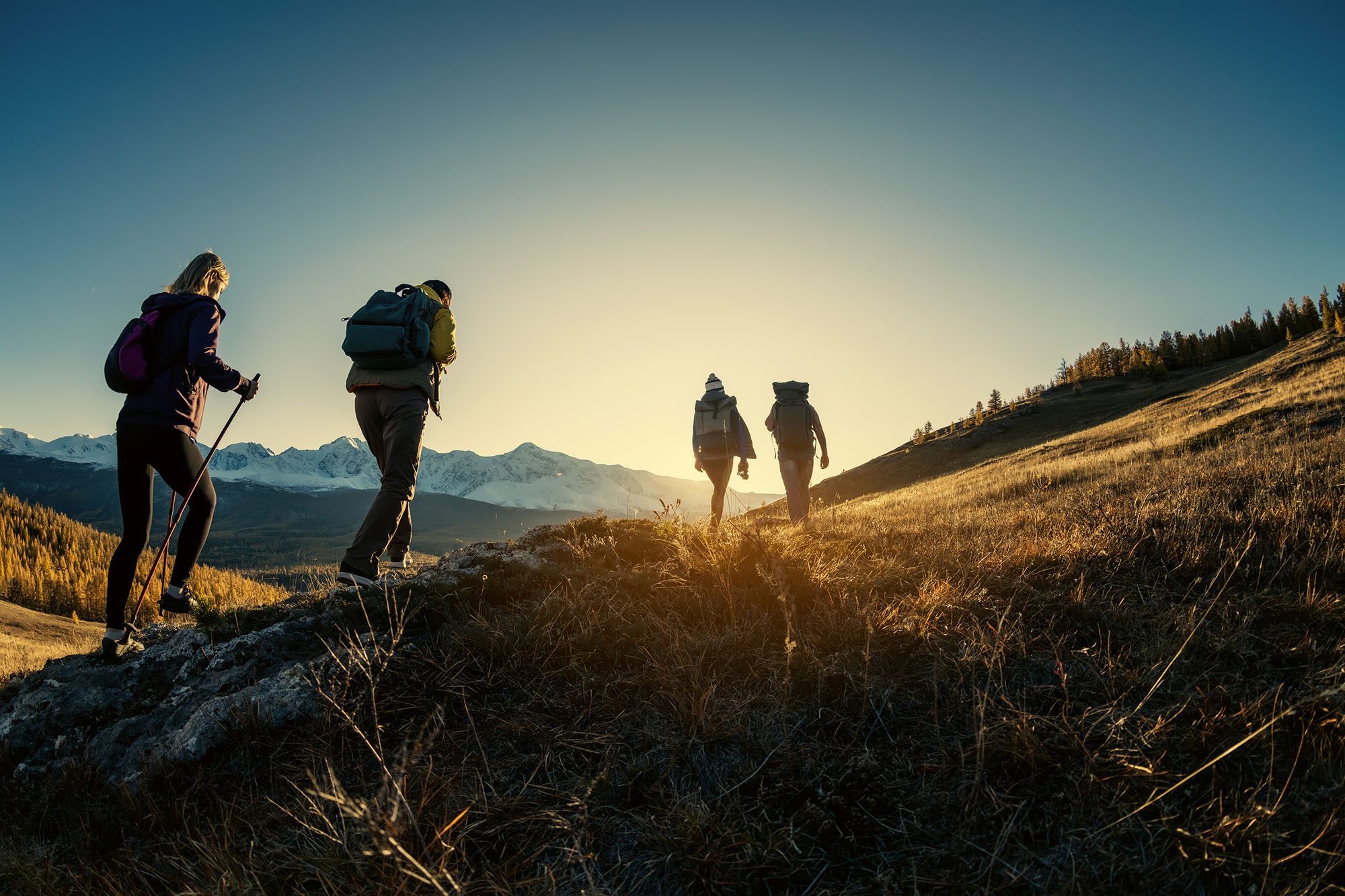 Join A Local Hiking Group