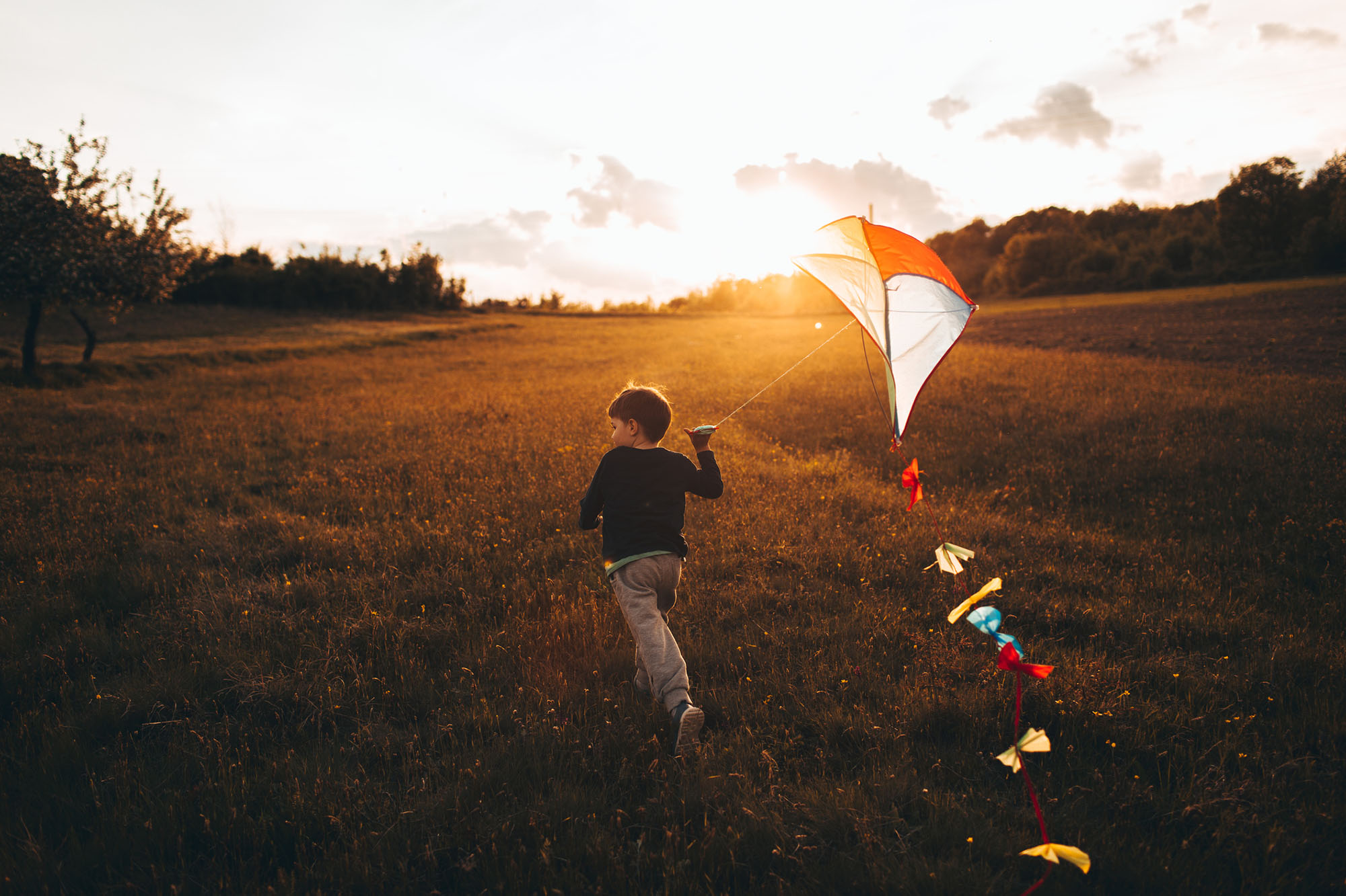 Build Your Own Kite