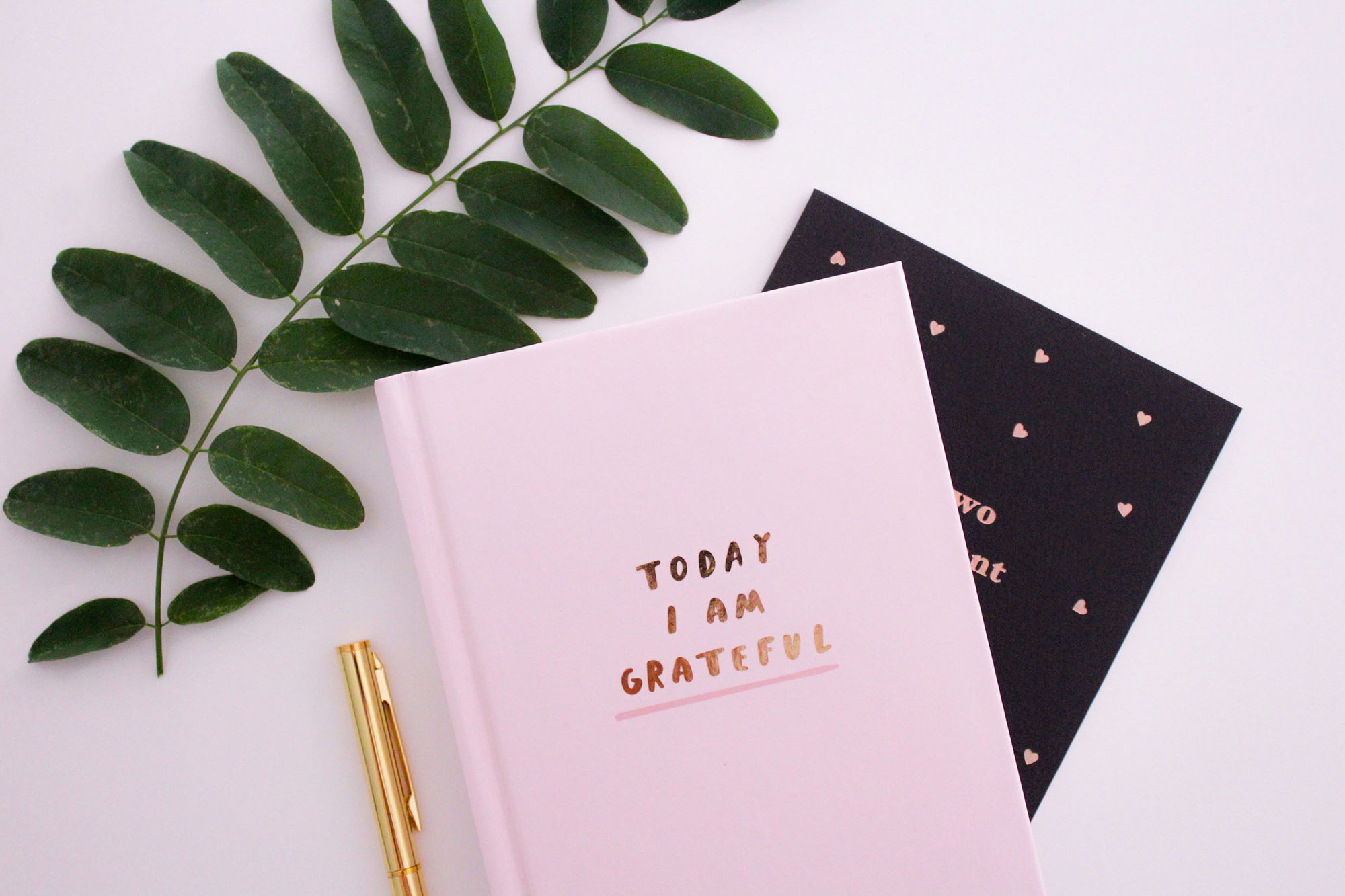 Start a Gratitude Journal for 2025