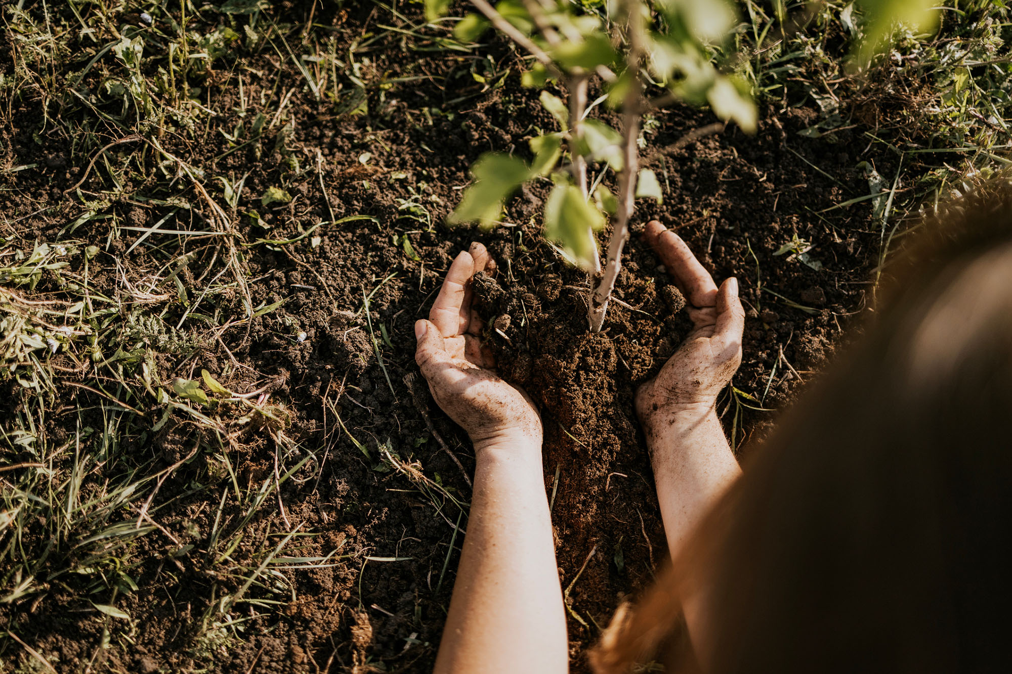 Take Part in a Countryside Volunteering Event